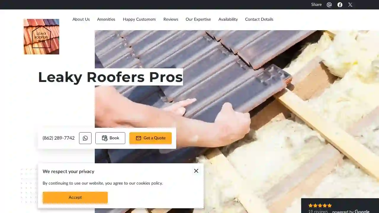 Leaky Roofers Pros