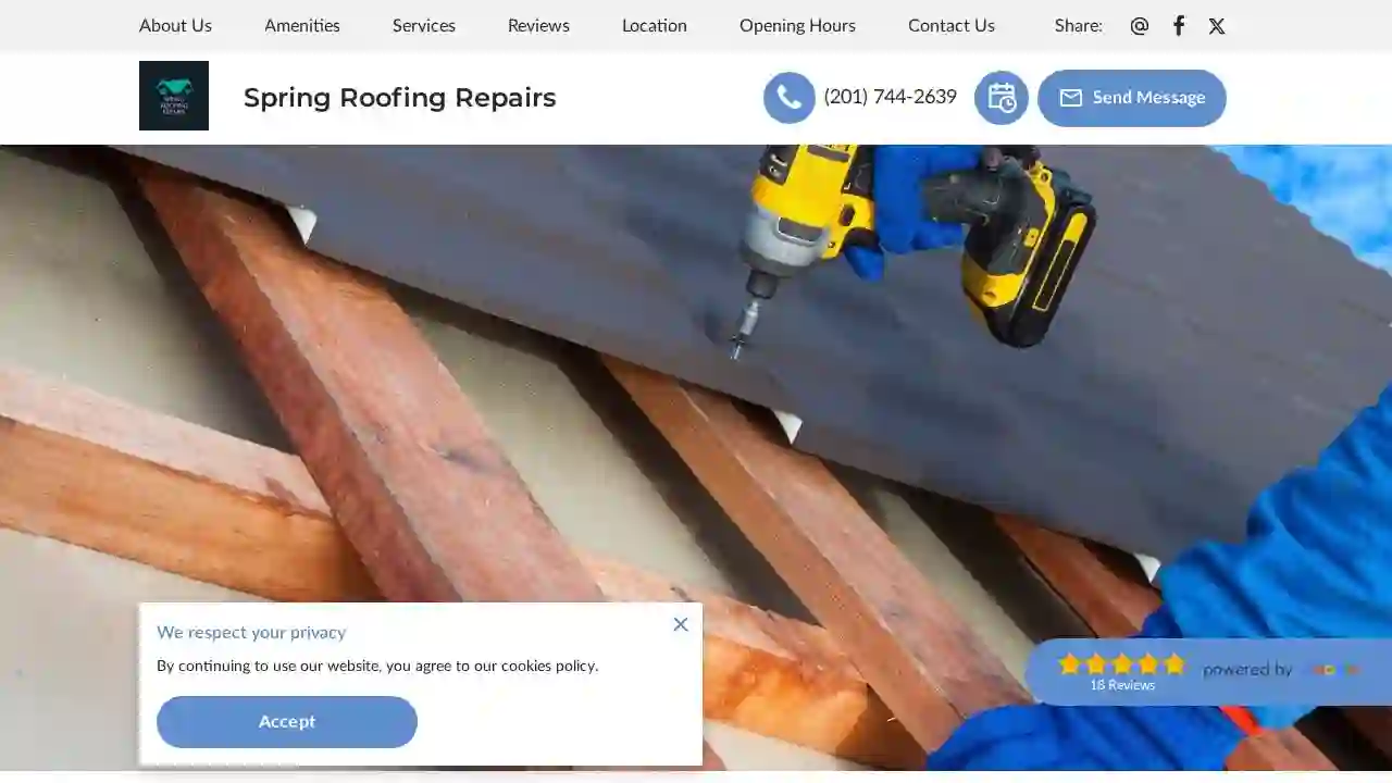 Spring Roofing Repairs